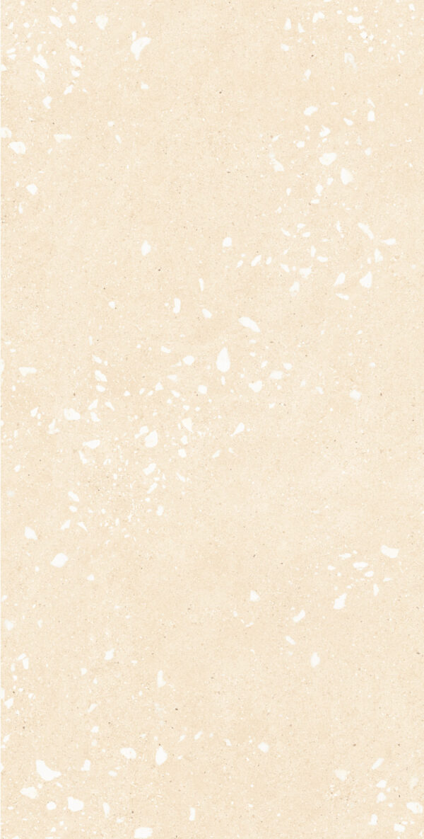 Керамогранит матовый Accent 2 Beige DECOR 120x60