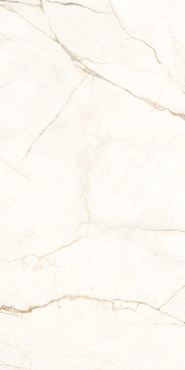 Керамогранит матовый ALBERI BLANCO 120x60