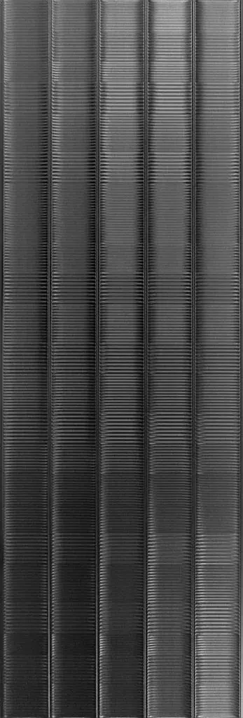Керамогранит Shell Black 120x40 рельеф